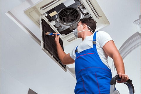 Air Duct Mold Removal Mold Removal